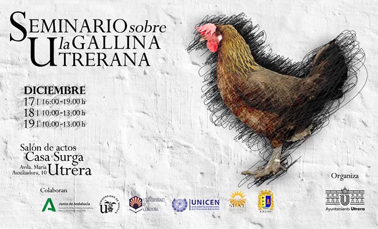 La gallina utrerana, protagonista del fin de semana con un seminario repleto de ponencias por parte de expertos