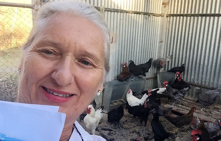 Un estudio encumbra a los huevos de las gallinas utreranas por sus «beneficios fisiológicos» en la salud humana