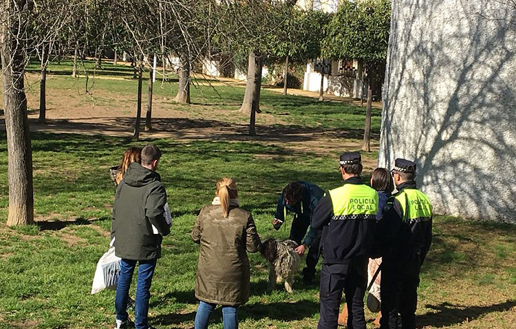 Heridas una niña y una joven tras ser atacadas por un perro de raza peligrosa en Utrera
