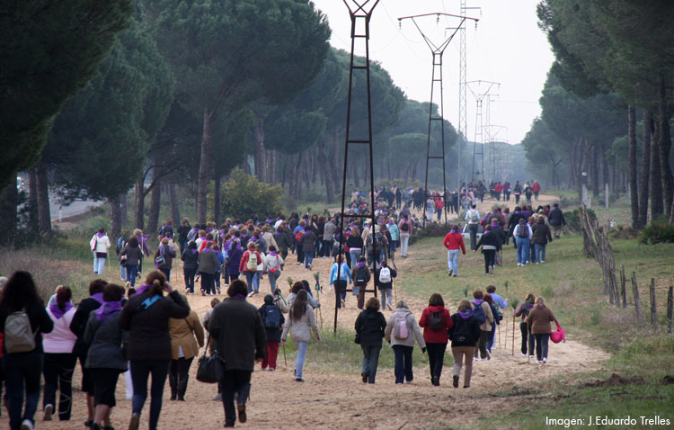 La hermandad del Rocío vuelve a aplazar su camino de mujeres ante la previsión de lluvia
