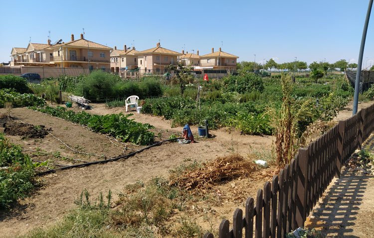 Una oleada de robos sacude los huertos sociales del parque del V Centenario