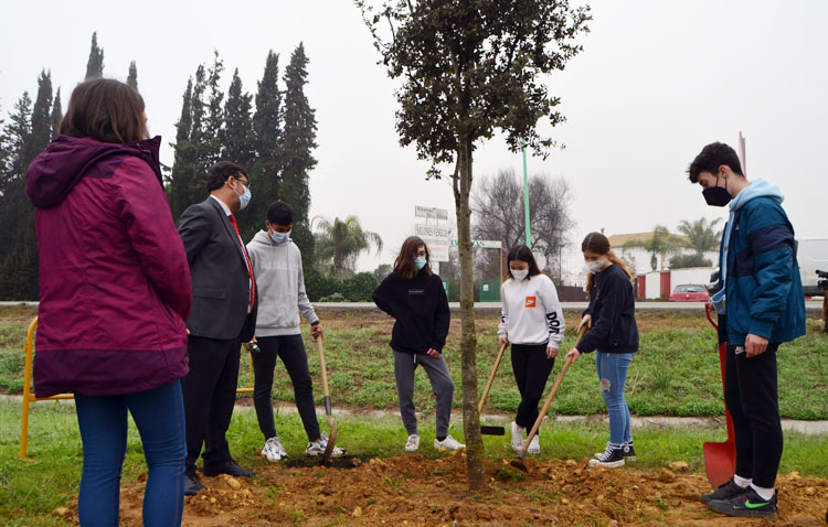 Una especial plantación de árboles como herramienta para educar en valores a los más jóvenes de Utrera