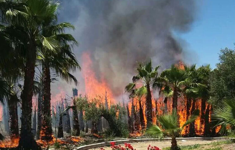 Un incendio desata el pánico en la romería de Guadalema de los Quintero