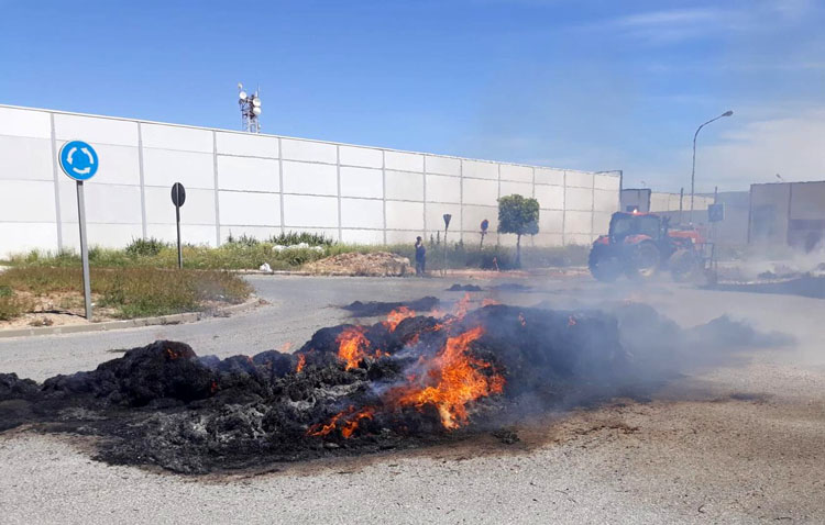 Arde la carga de su remolque mientras circulaba con el vehículo en plena calle (IMÁGENES)