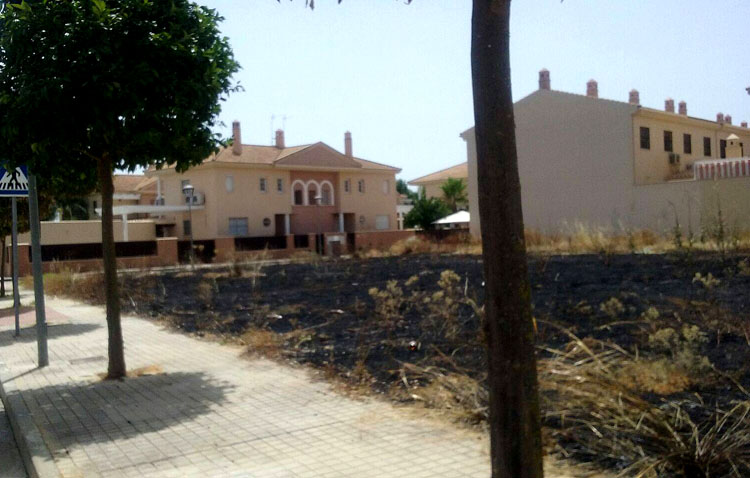 El Ayuntamiento afirma que un «pirómano» está tras los incendios de varios solares y pide la colaboración ciudadana