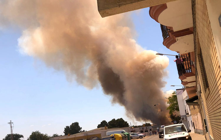 Un espectacular incendio arrasa 12 hectáreas de trigo a punto de ser recolectadas en Utrera (VÍDEO)