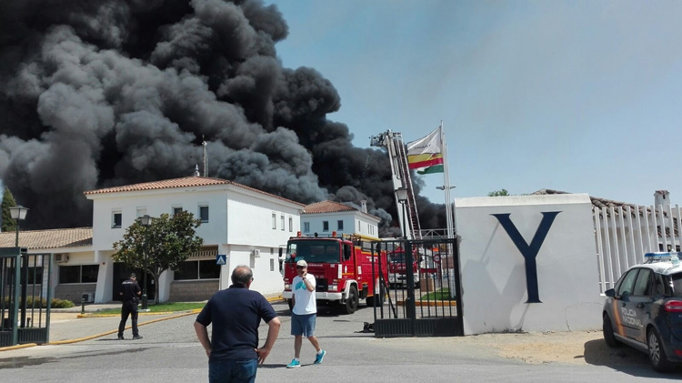 El Ayuntamiento felicita a los Bomberos de Utrera por sus intervenciones en Dos Hermanas y Trajano