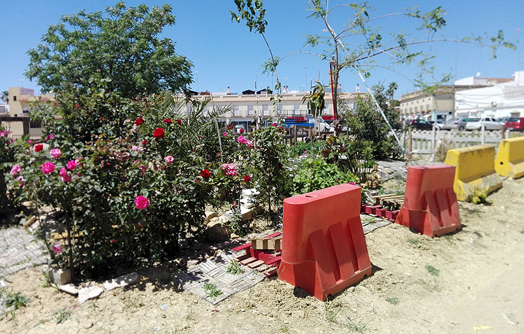 Un curioso jardín en mitad de la nada, junto al barro, los baches y el polvo de la explanada del Matadero