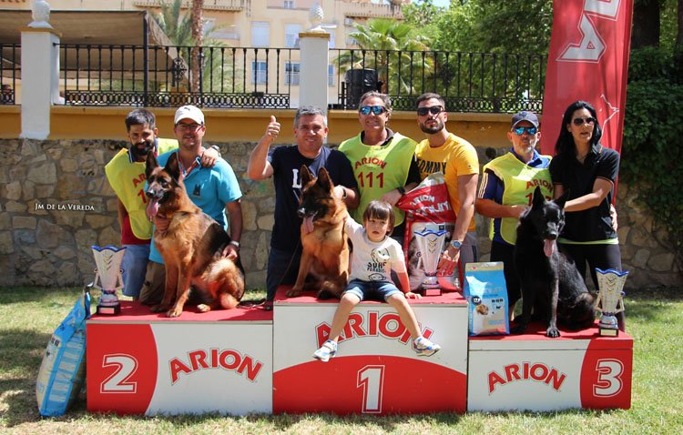El criador utrerano José Antonio Ramírez triunfa en una monográfica del perro pastor alemán