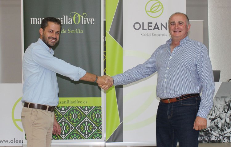 El Grupo Manzanilla Olive se convertirá en la mayor cooperativa de aceituna de mesa de Andalucía