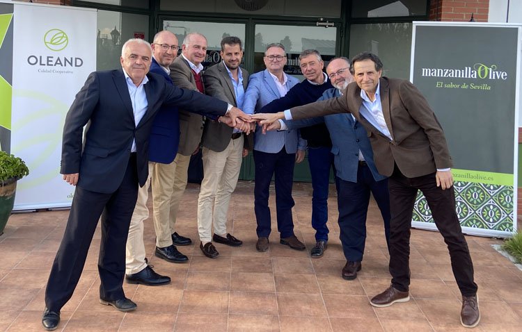 La fusión de Oleand con Manzanilla Olive, afincada en Utrera, genera «la mayor cooperativa de aceituna de mesa de Andalucía»