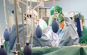 SATSE alerta del déficit de matronas en el SAS y reclama refuerzos para garantizar la salud de las mujeres en el Día Internacional de la Matrona