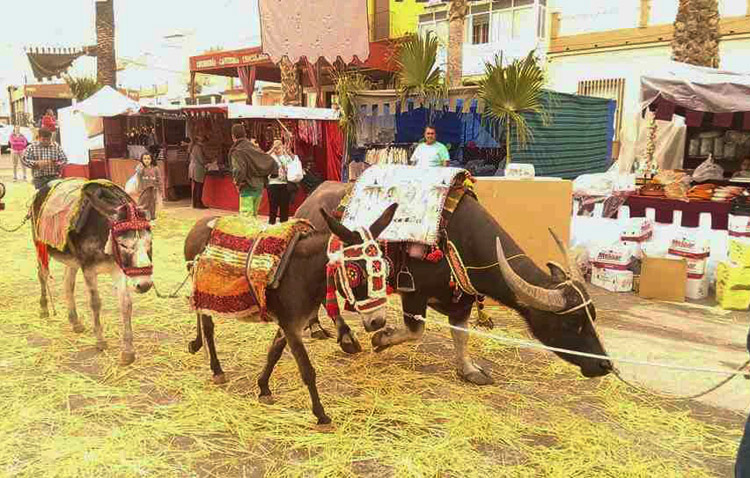 El Palmar de Troya pospone su mercado medieval ante la previsión de lluvia