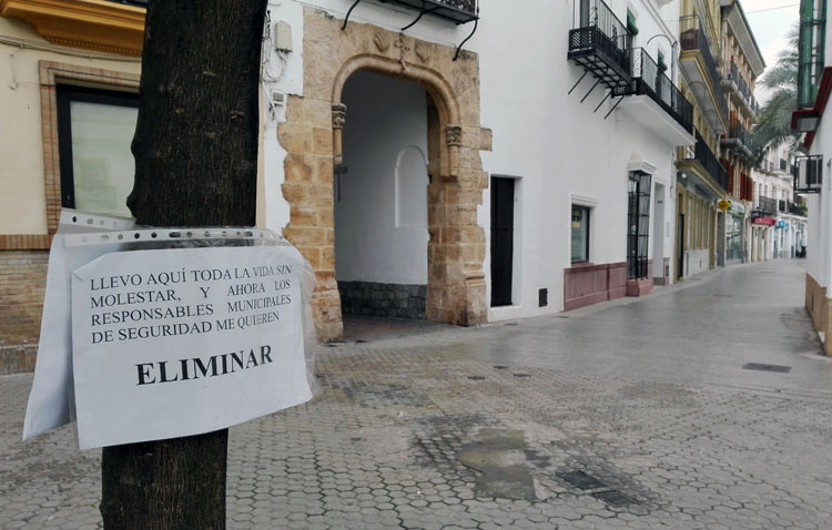El gobierno local plantea eliminar un naranjo de la calle Álvarez Hazañas para instalar la carrera oficial en la plaza del Altozano