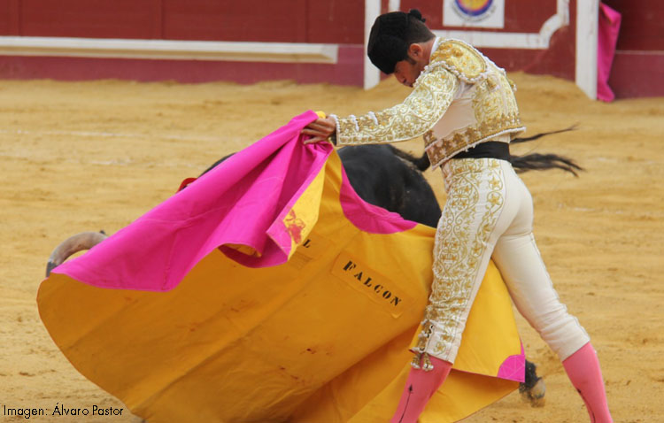 Miguel Falcón, la espada una cruz
