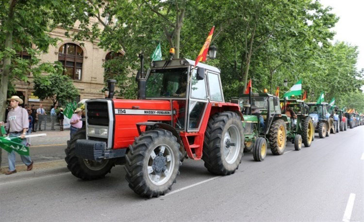 Una «tractorada» para pedir una solución a los regantes, ante un pantano Torre del Águila seco