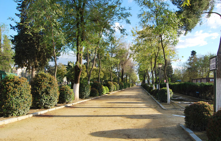 La Policía Local encuentra a tres menores consumiendo droga en el parque de Consolación en horario escolar