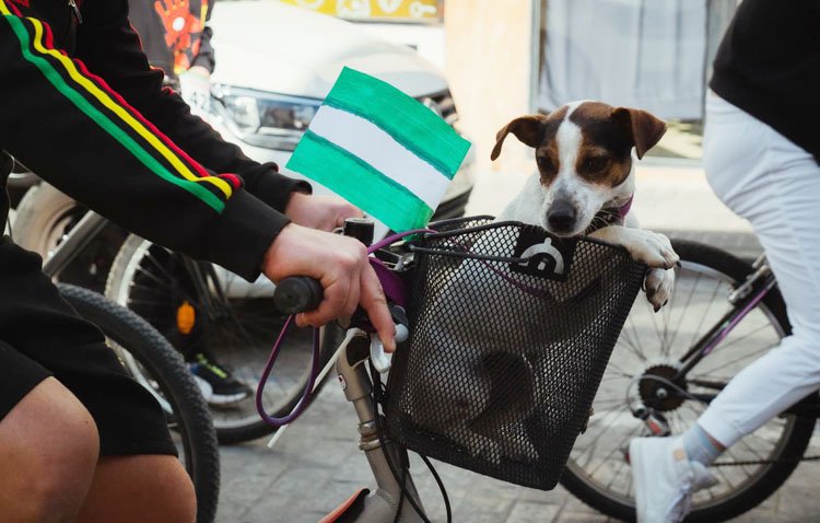 El paseo en bicicleta, un clásico en Utrera para celebrar el Día de Andalucía
