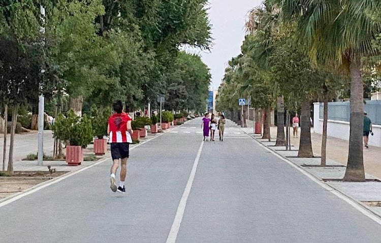 Las «15 razones objetivas» de Villalobos para rechazar la reapertura del paseo de Consolación al tráfico rodado