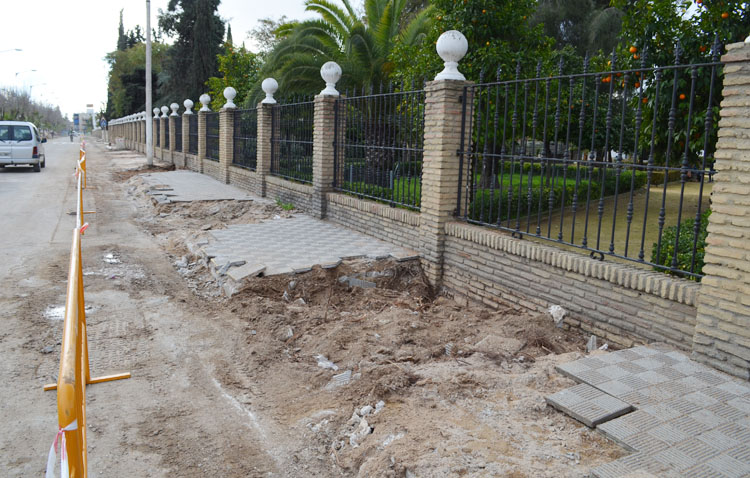 Ecologistas en Acción denuncian el «arboricidio» sufrido en Utrera