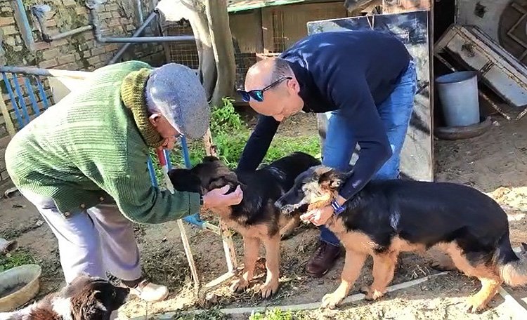 El emotivo reencuentro de las dos cachorras robadas en Utrera con sus dueños