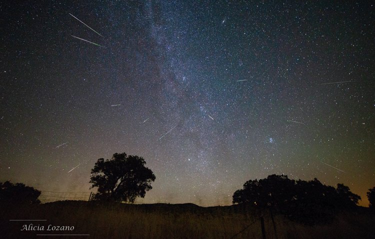 Llega la lluvia de estrellas más esperada del cielo estival, conocida desde el año 36 d.C.
