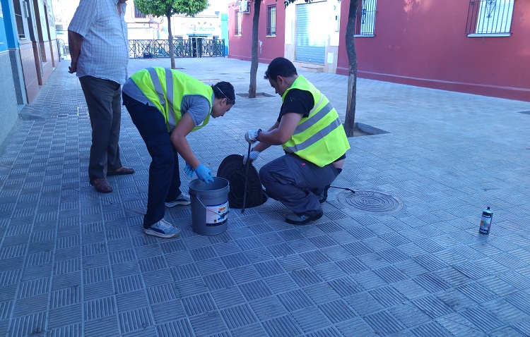 Comienzan las actuaciones del plan contra la plaga de ratas y cucarachas