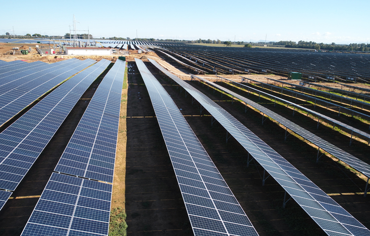 La primera planta solar a gran escala no subvencionada de Europa echa a andar en Don Rodrigo