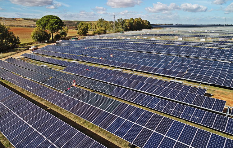 La nueva planta solar de Don Rodrigo producirá 4,5 veces más de la energía que consume una ciudad como Utrera (IMÁGENES Y VÍDEO)