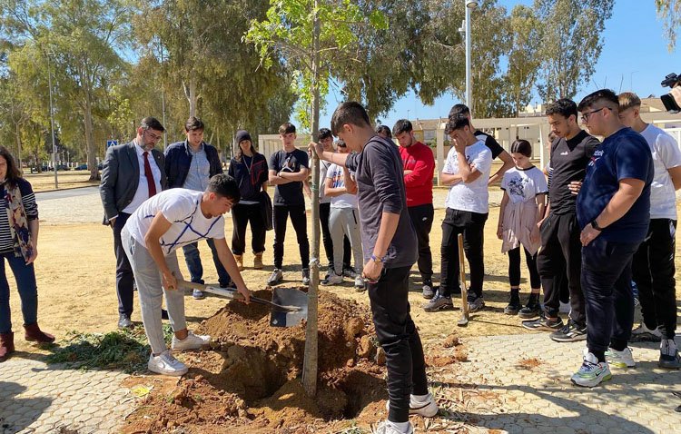 El alcalde de Utrera asegura que «al final del mandato habremos plantado 10 árboles por cada uno que se haya retirado»