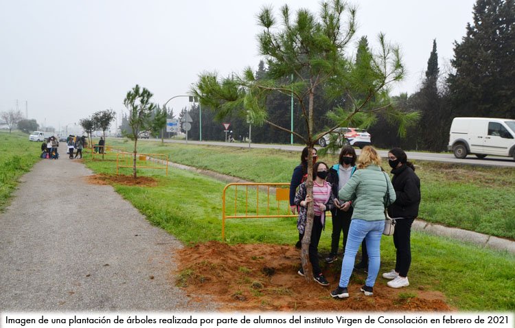 Un plan de reforestación contempla la plantación de numerosos árboles en distintas zonas de Utrera