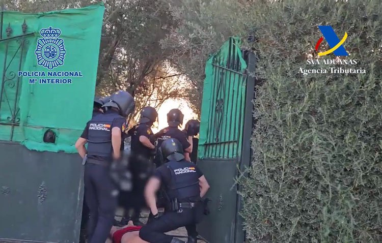 Detenidas 16 personas tras desmantelarse 28 plantaciones de marihuana en Utrera y Alcalá de Guadaíra