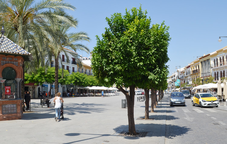 Utrera inicia un macro fin de semana al sumar como festivos locales el lunes y el martes