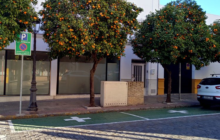 Las farmacias de Utrera contarán a partir de ahora con plazas de aparcamiento reservadas