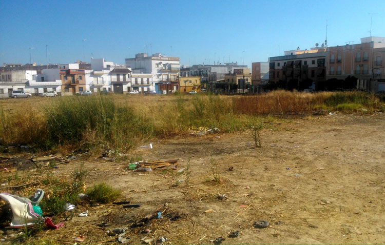 Podemos alerta de un «serio y grave problema» en la barriada La Paz, por «gran abundancia de ratas»