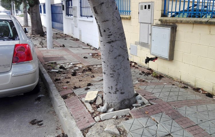 El pleno municipal de Utrera da luz verde al esperado arreglo de las aceras del polígono ‘El Torno’