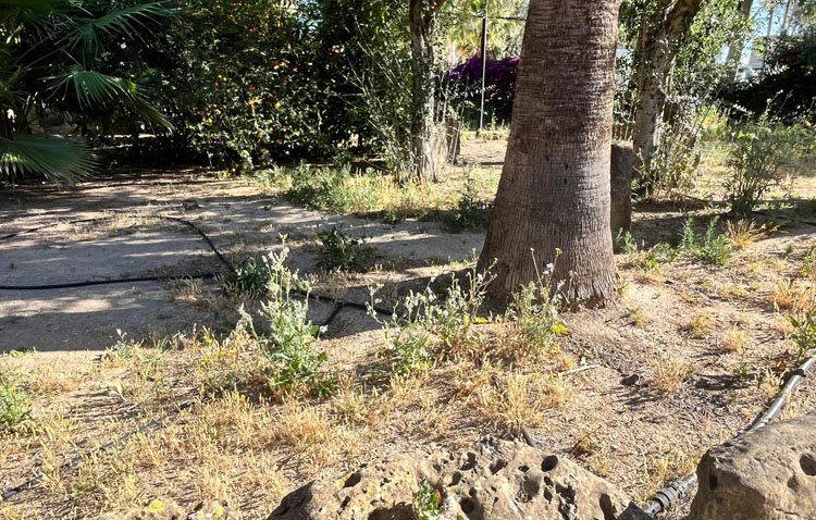 El PSOE denuncia el «abandono» del parque de Consolación y de su ‘ciudad de los niños’