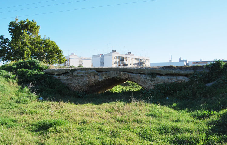 El PSOE pide la «puesta en valor» del Puente de los Acarreadores