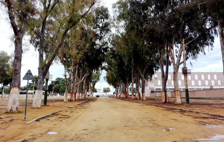 Villalobos anuncia la reurbanización del recinto ferial de Utrera y la eliminación del albero en las calles