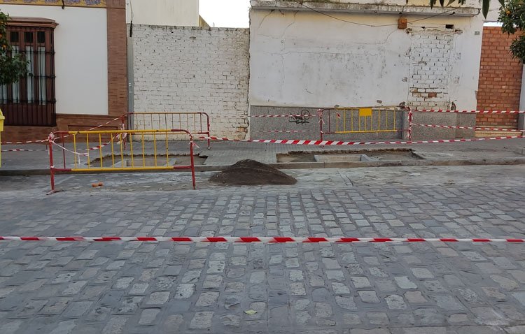 La Red de Utrera por el Clima pide al Ayuntamiento la elaboración de un ‘Plan director del arbolado urbano’