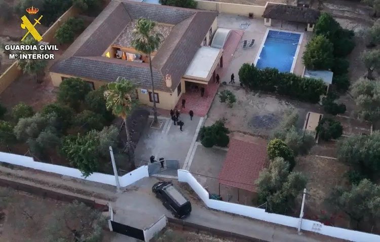 Desmantelada una red provincial de cultivo industrial de marihuana con sede en Utrera