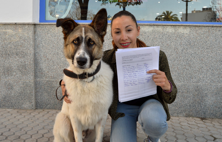 Una campaña ciudadana para luchar por la creación de un refugio animal