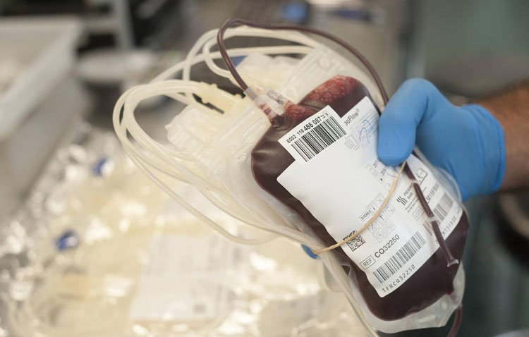 Tarde solidaria en el instituto Ponce de León con una nueva campaña de donaciones de sangre