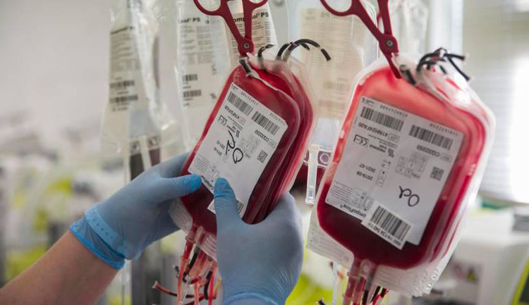 Campaña de donaciones de sangre en la pedanía utrerana de Pinzón