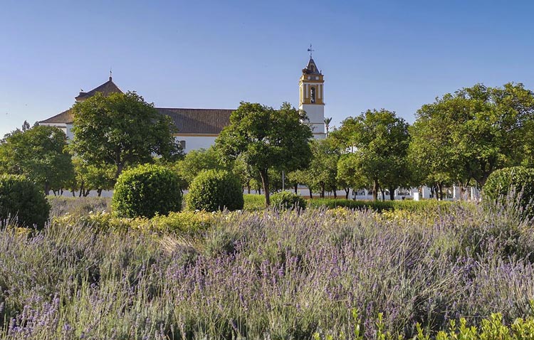 Nace en Utrera una nueva plataforma para apostar por el medio ambiente de manera transversal