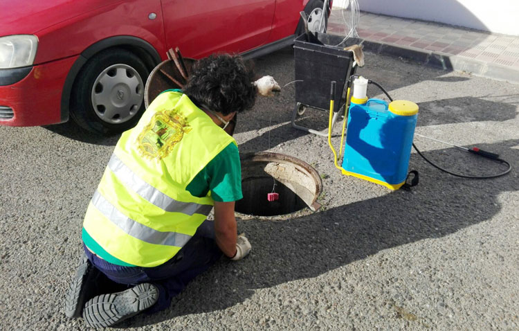 El servicio de control de plagas urbanas inicia su tratamiento contra las ratas y cucarachas