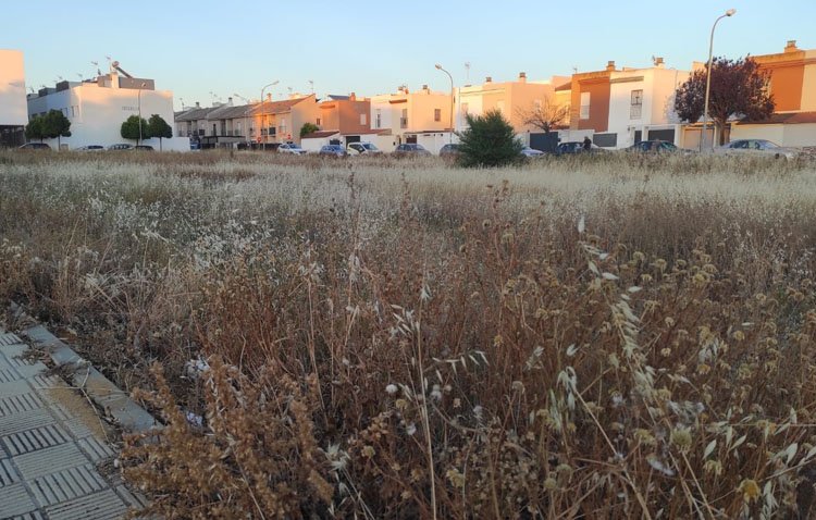 Podemos reclama al Ayuntamiento de Utrera que actúe contra los solares llenos de maleza para evitar incendios