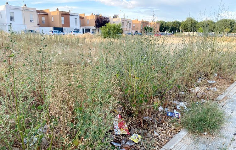 El Ayuntamiento reclama a los propietarios de 70 solares abandonados de Utrera que los mantengan limpios