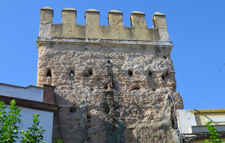 El Ayuntamiento de Utrera actuará sobre la torre de la muralla en Álvarez Hazañas tras los daños provocados por las palomas