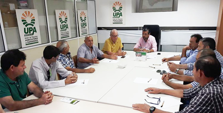 Las cooperativas utreranas se reúnen con UPA-Sevilla ante la amenaza para el sector de la aceituna por los aranceles de Estados Unidos